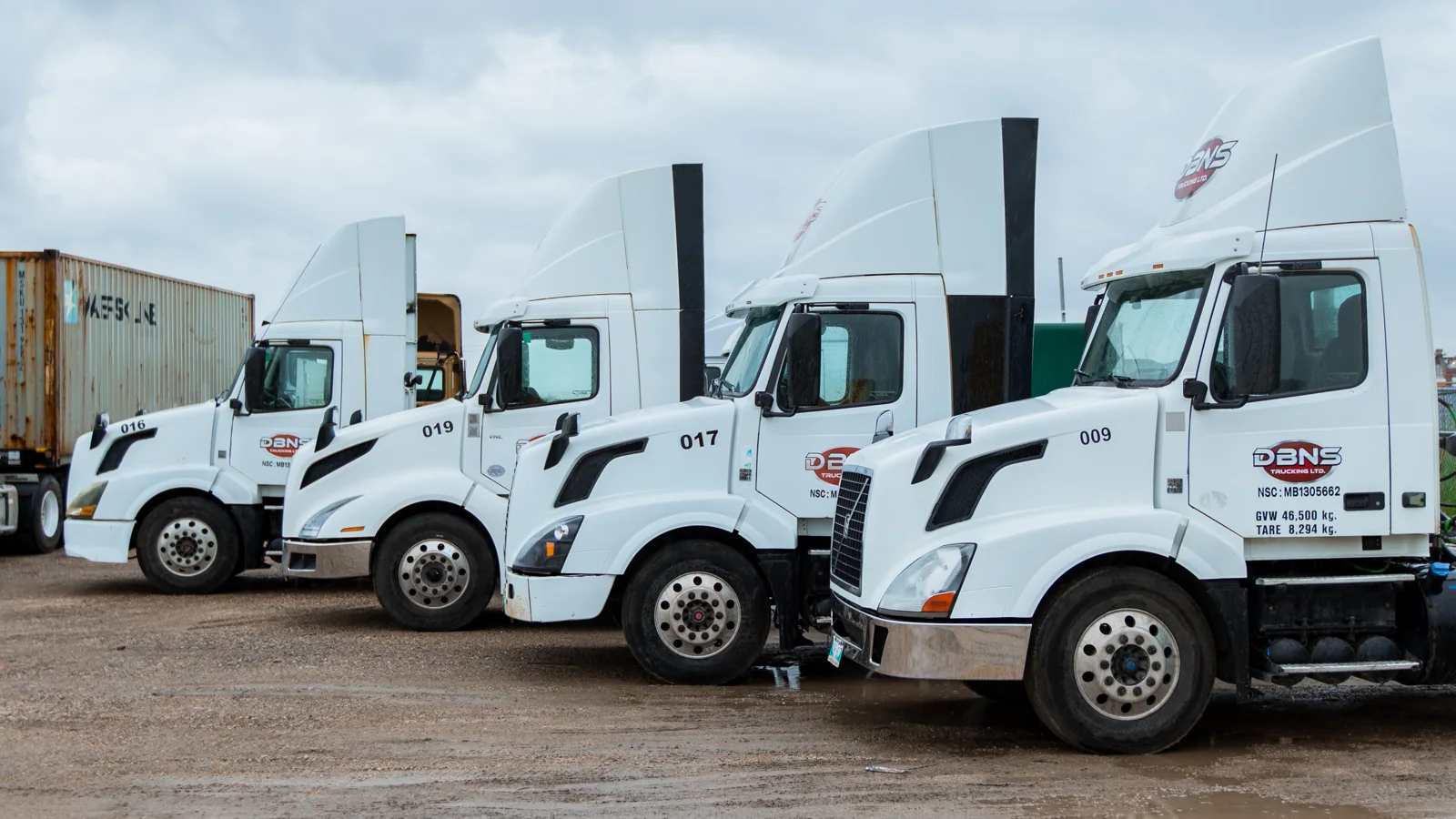 A close view of three white DBNS tractors with branded cabs